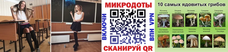 Купить закладки  Кузнецк  Галлюциногенные грибы GOLDEN TEACHER 